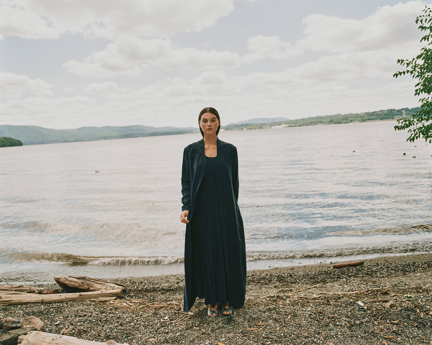 Linnet Dress in Cupro